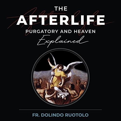 The Afterlife audiobook cover